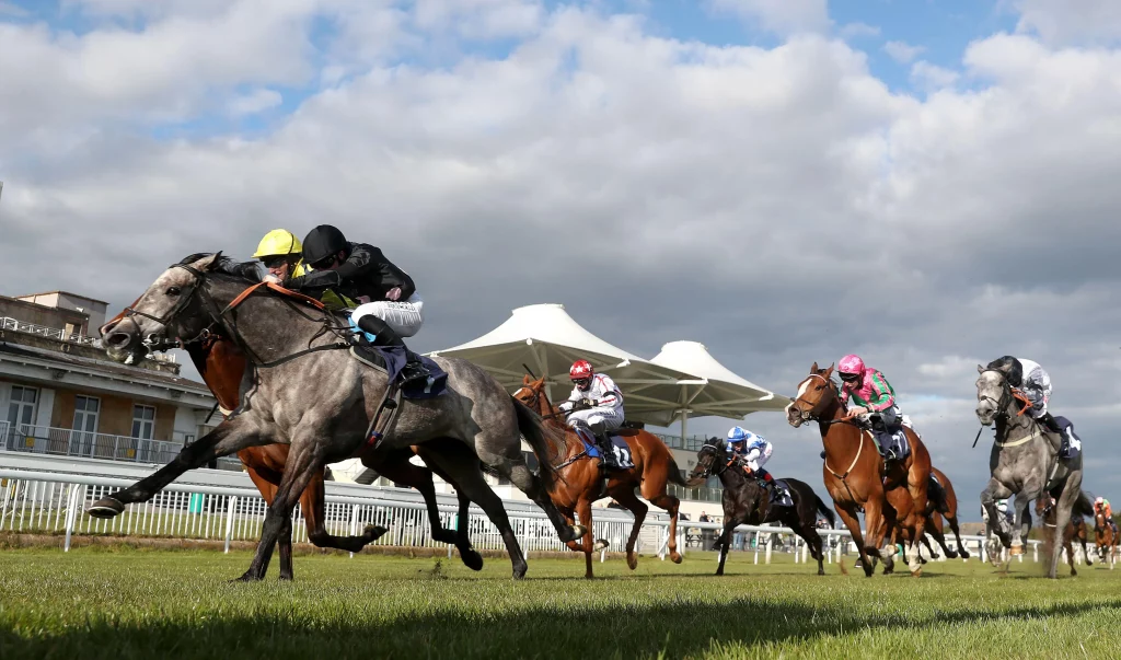 Today's Horse Racing Tips: Tuesday May 24th