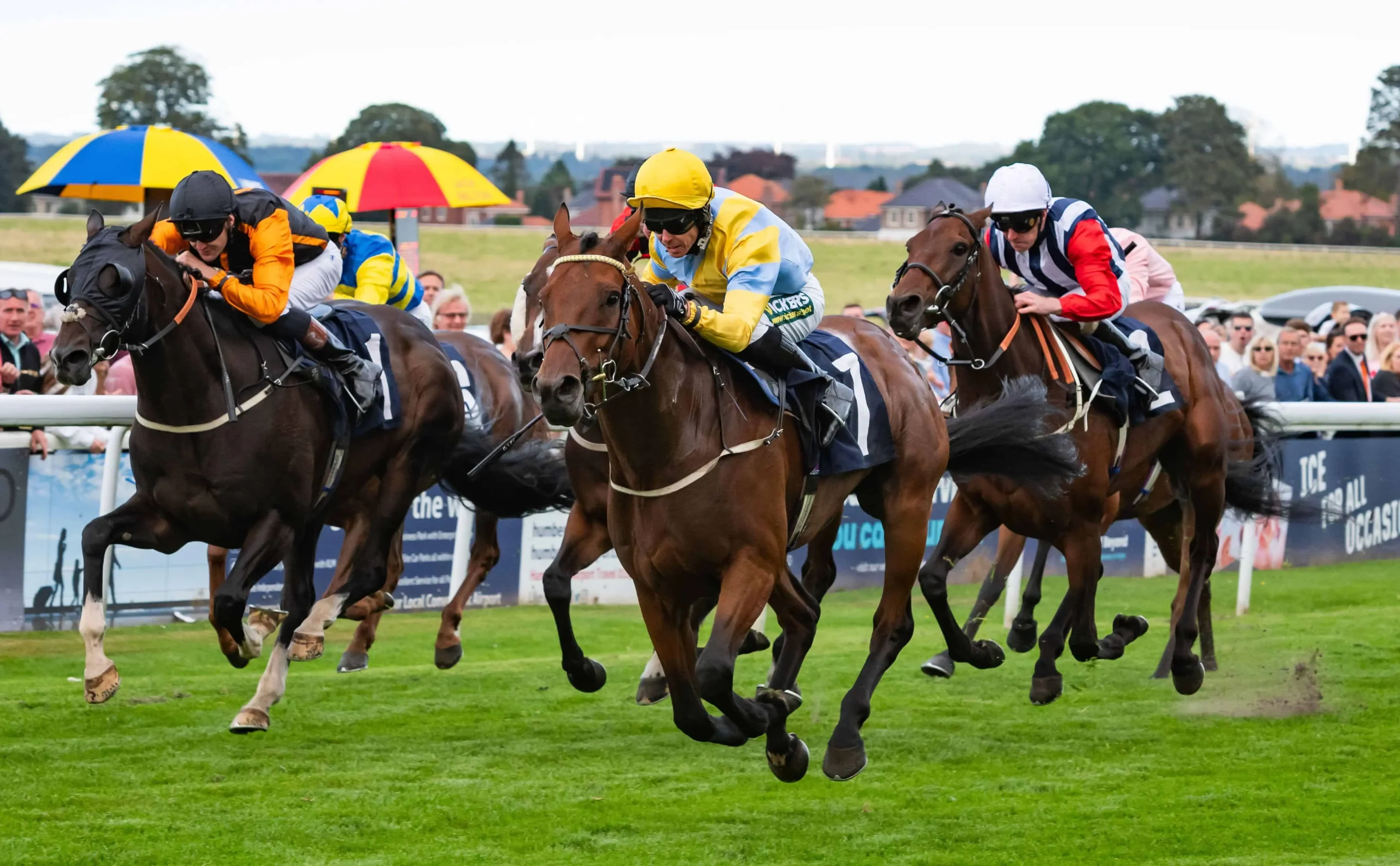 Insider Access: Hayness Winning Beverley & Windsor Horse Racing Acca! - nvtnniw