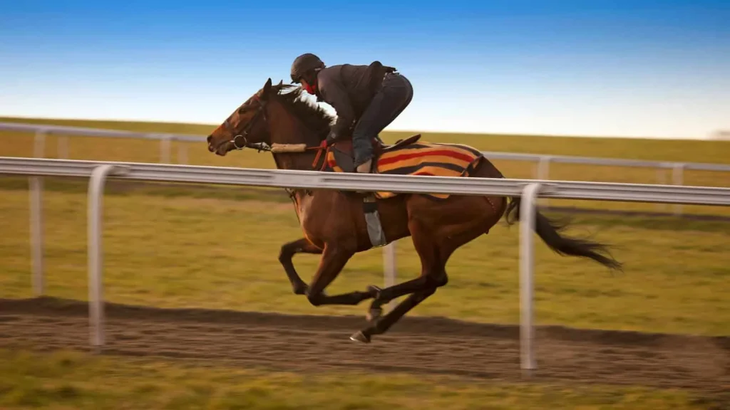 Thursday's Horse Racing Tips: Newmarket, June 27th