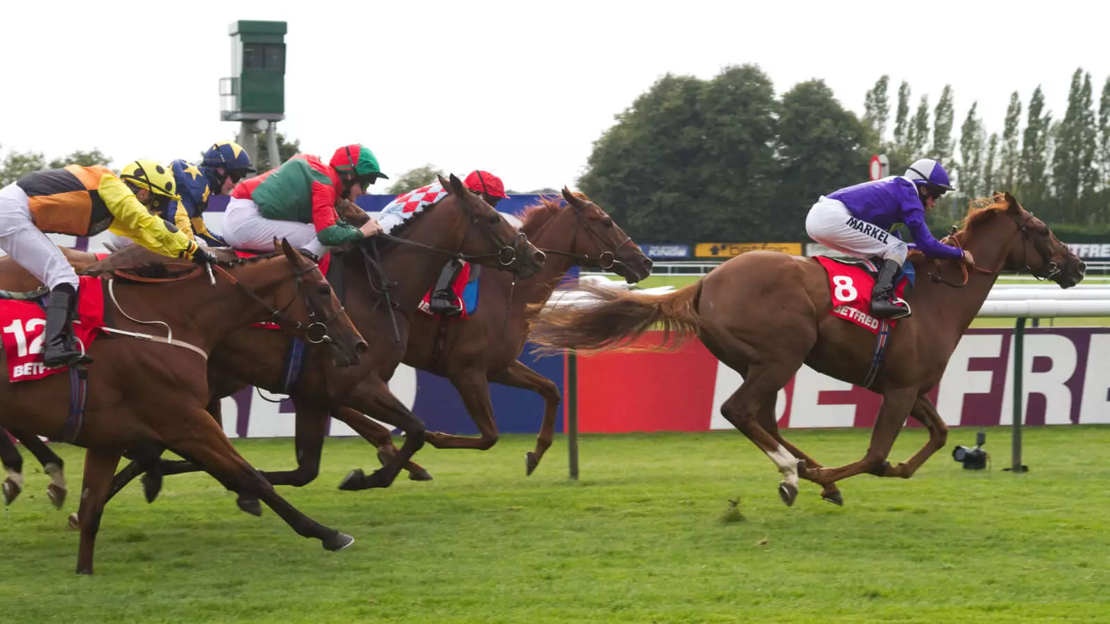 Thursday’s Horse Racing Tips: Haydock, September 7th - bettingexpert ...