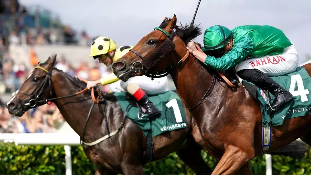 Saturday's Horse Racing Tips: Doncaster, Chester, Leopardstown  September 10th