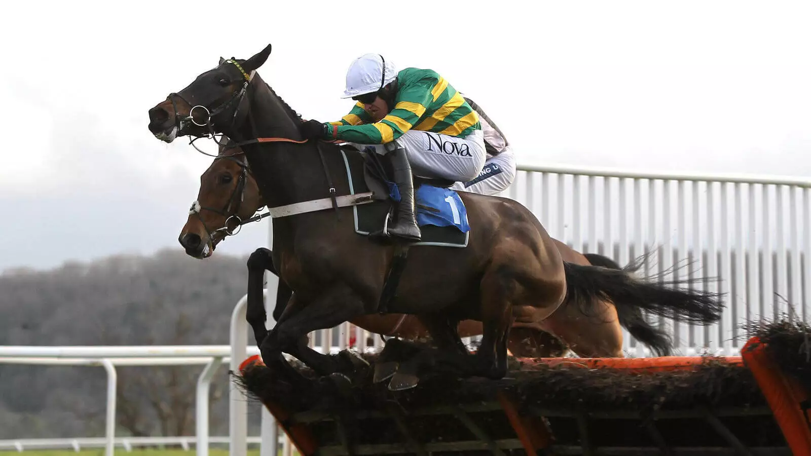 Thursday’s Horse Racing Tips Taunton, November 30th bettingexpert