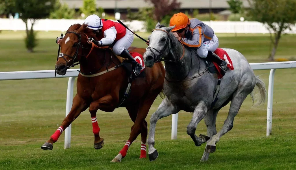 Sunday’s Horse Racing Tips: Sandown, August 21st