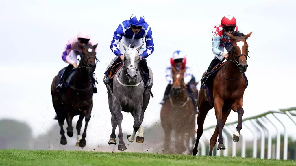 Thursday’s Horse Racing Tips: Brighton, October 13th