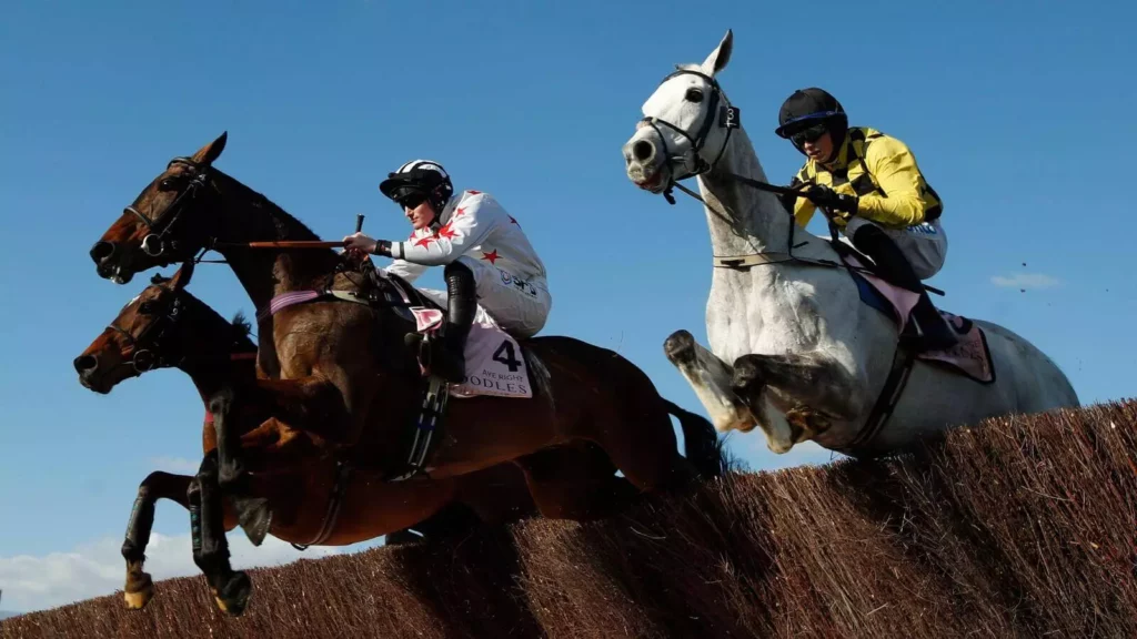 Saturday's Horse Racing Tips: Cheltenham, Lingfield November 12th Saturday's Horse Racing Tips: Cheltenham, Lingfield November 12th