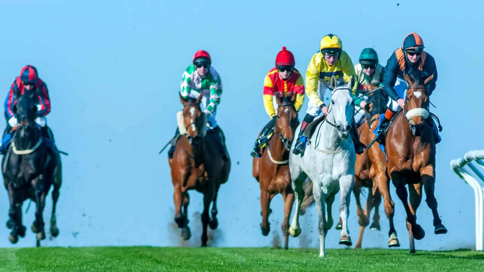 Thursday's Horse Racing Tips Brighton, October 17th
