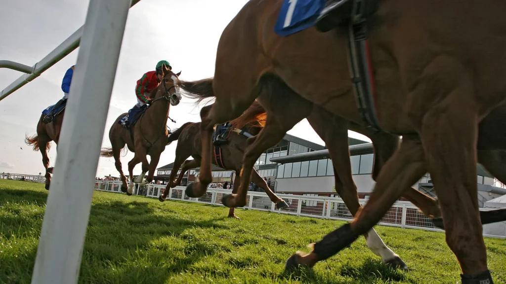 Sunday’s Horse Racing Tips: Exeter, November 20th Sunday’s Horse Racing Tips: Exeter, November 20th