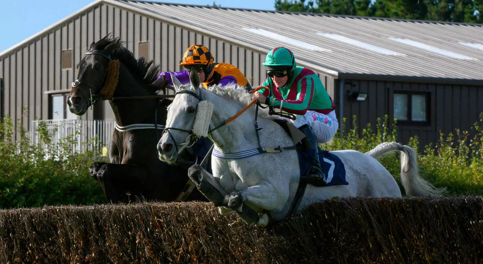 Thursday's Horse Racing Tips Fontwell, January 11th bettingexpert