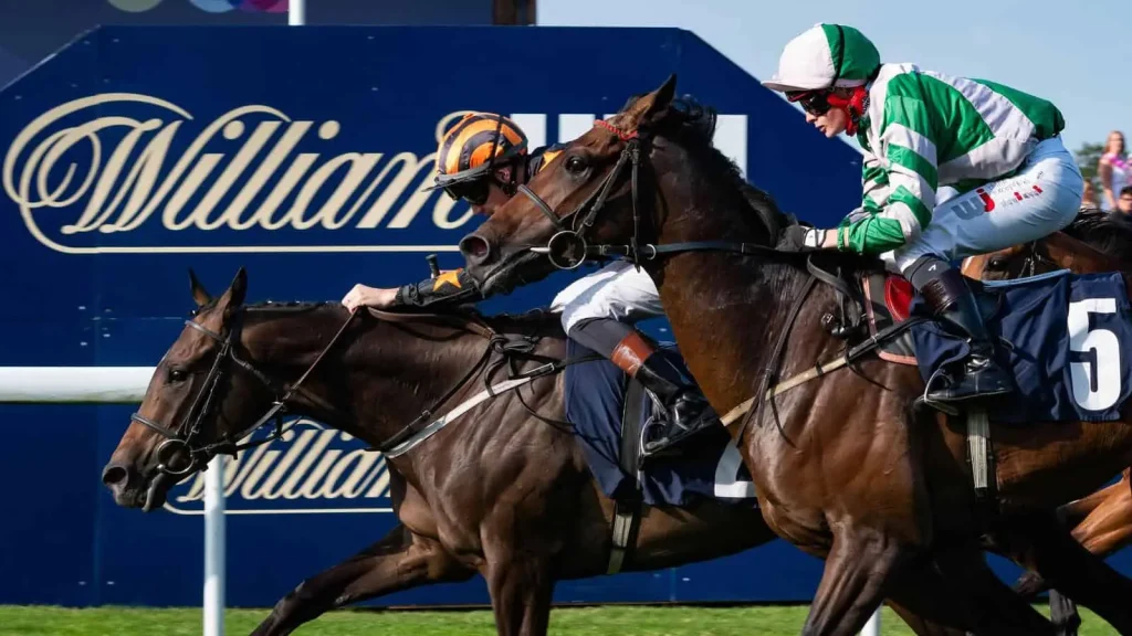 Wednesday's Horse Racing Tips: Beverley, May 29th