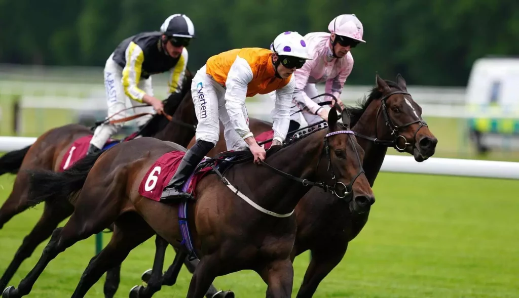 Saturday's Horse Racing Tips: Haydock, Kempton, Ascot  September 3rd