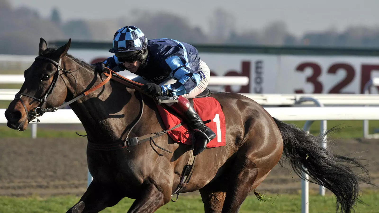 Tuesday’s Horse Racing Tips Kempton, December 26th bettingexpert Insights