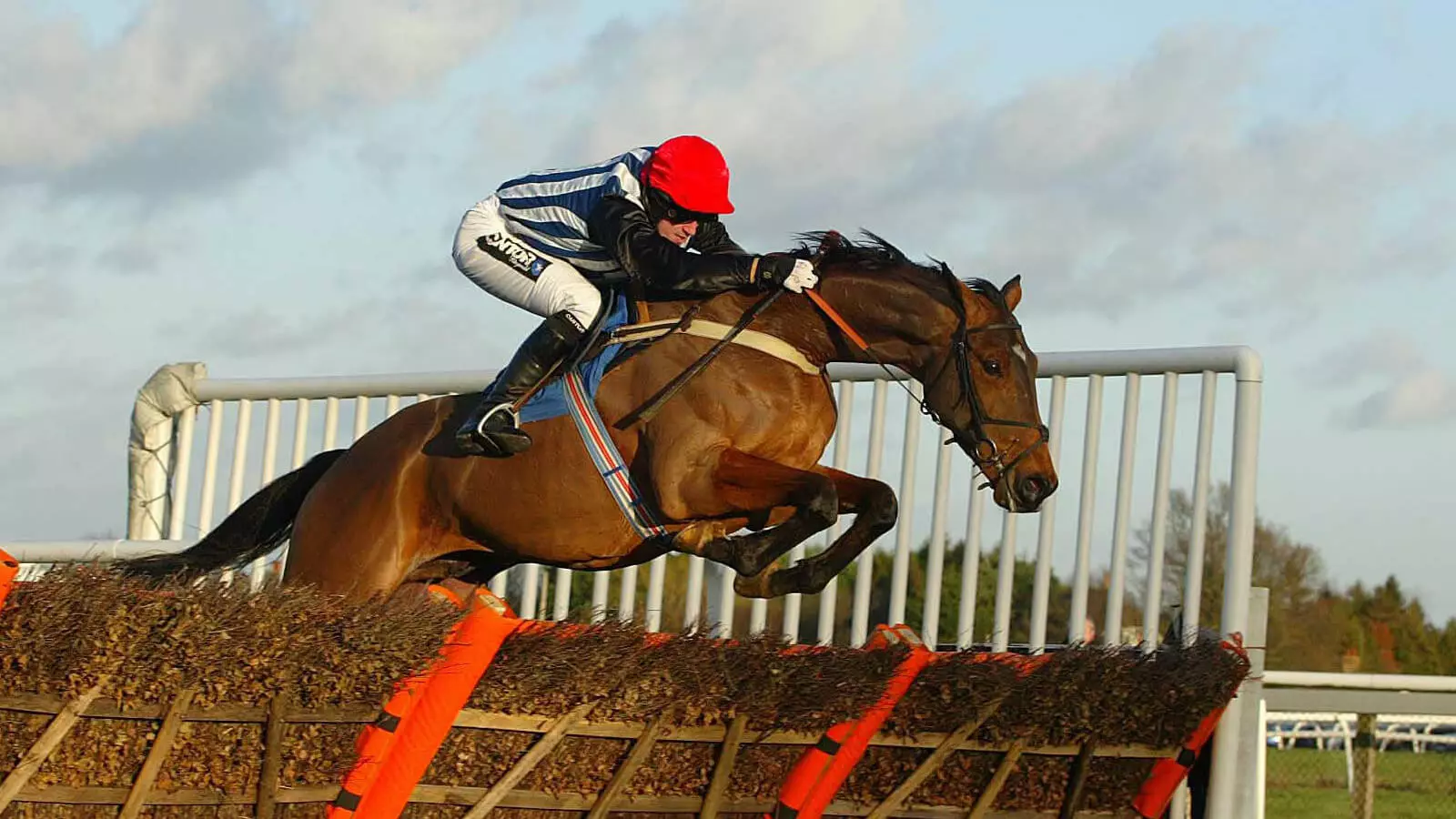 Monday’s Horse Racing Tips: Plumpton, December 4th - bettingexpert Insights