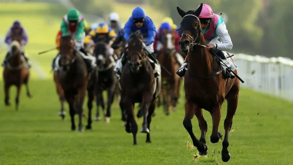 Monday's Horse Racing Tips: Leicester, May 27th