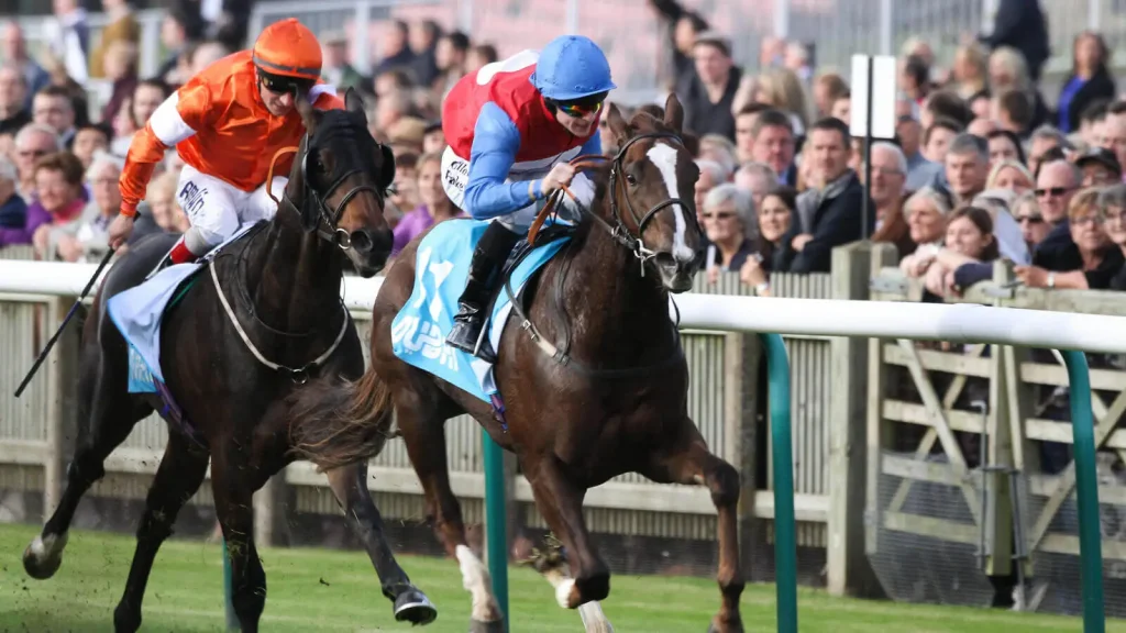Sunday’s Horse Racing Tips: Newmarket, May 5th