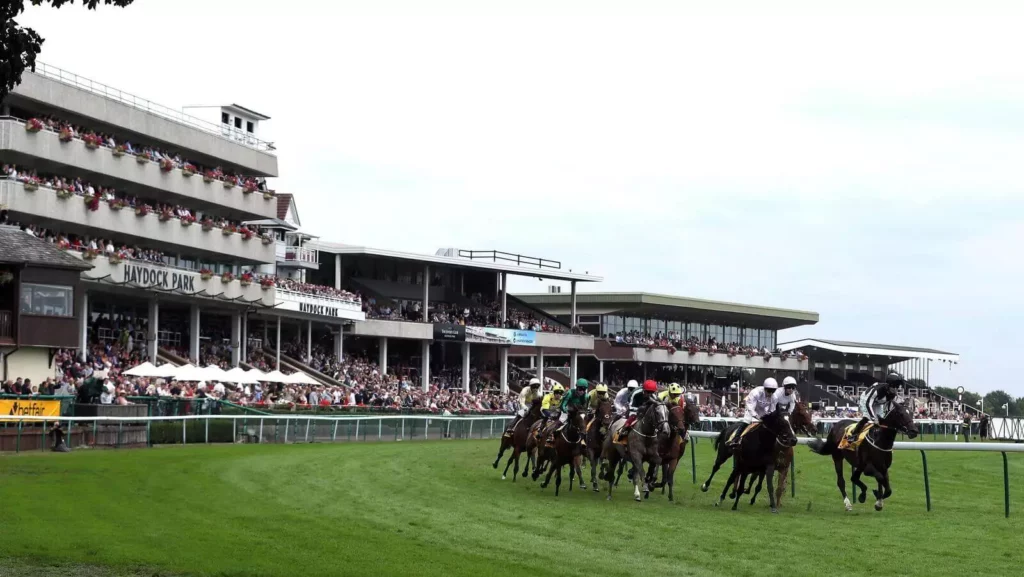 Saturday's Horse Racing Tips: Haydock, Ascot, November 19th