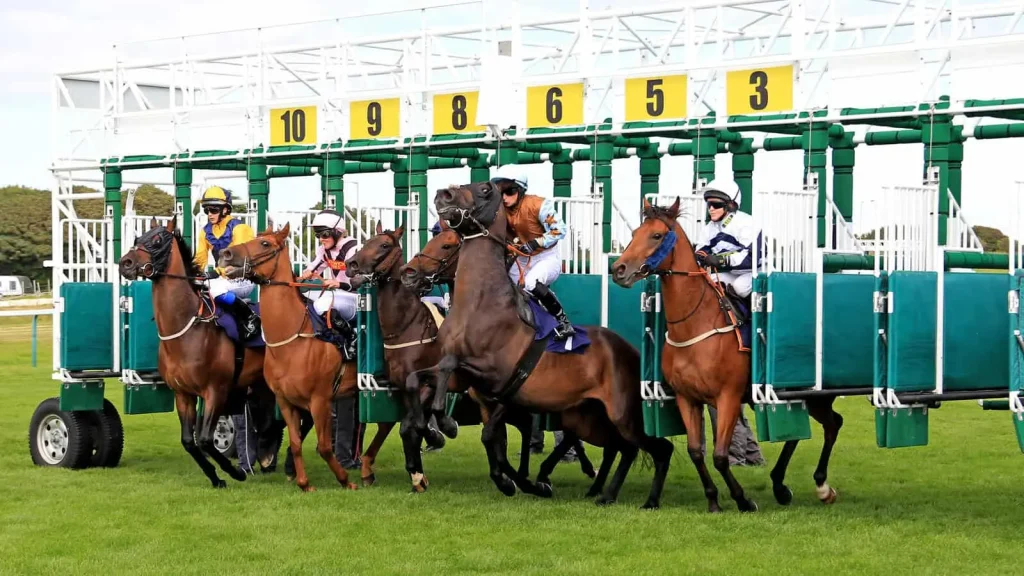 Tuesday's Horse Racing Tips: Brighton, July 2nd
