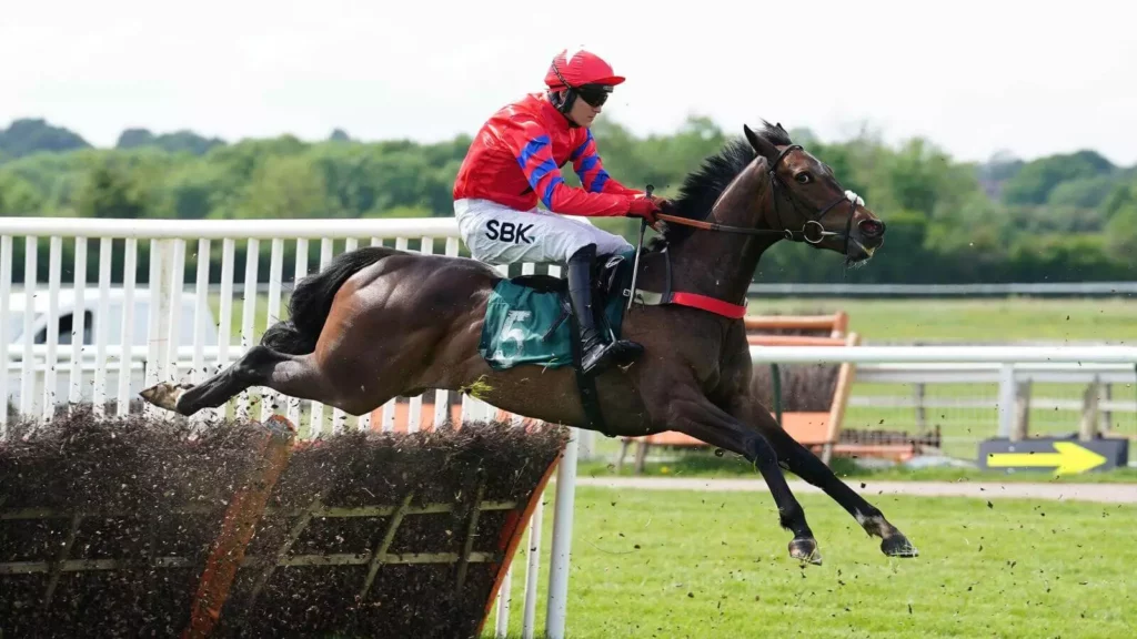 Wednesday’s Horse Racing Tips: Warwick, November 16th Wednesday’s Horse Racing Tips: Warwick, November 16th