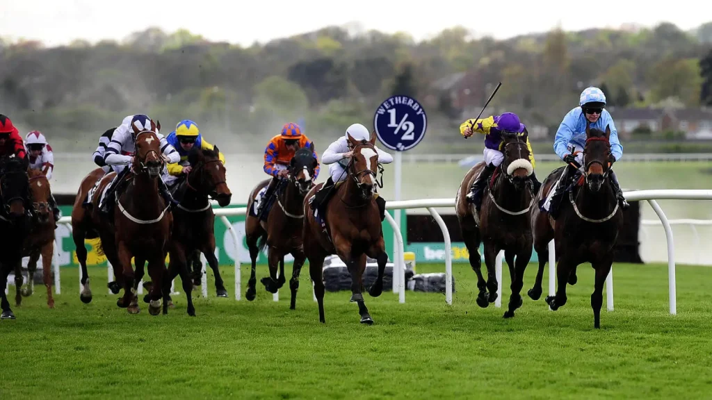 Thursday's Horse Racing Tips: Wetherby, March 28th