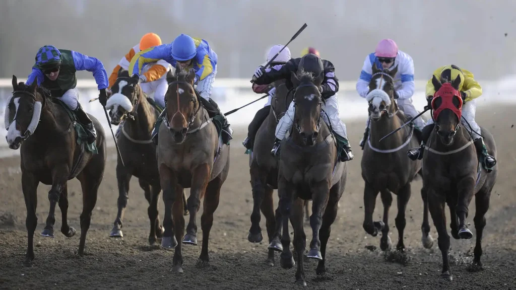 Friday's Horse Racing Tips: Lingfield, March 29th