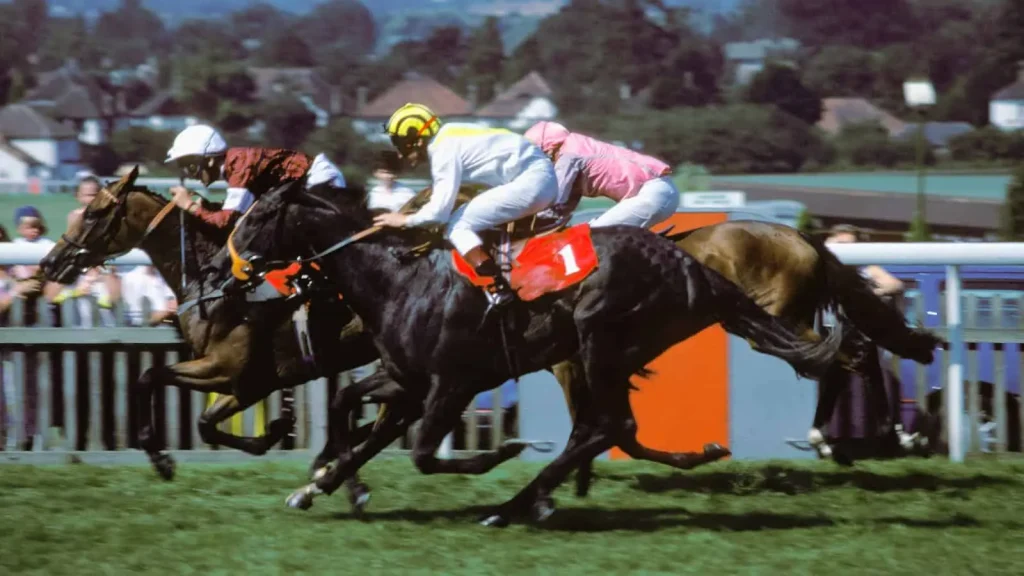 Friday's Horse Racing Tips: Sandown, June 14th