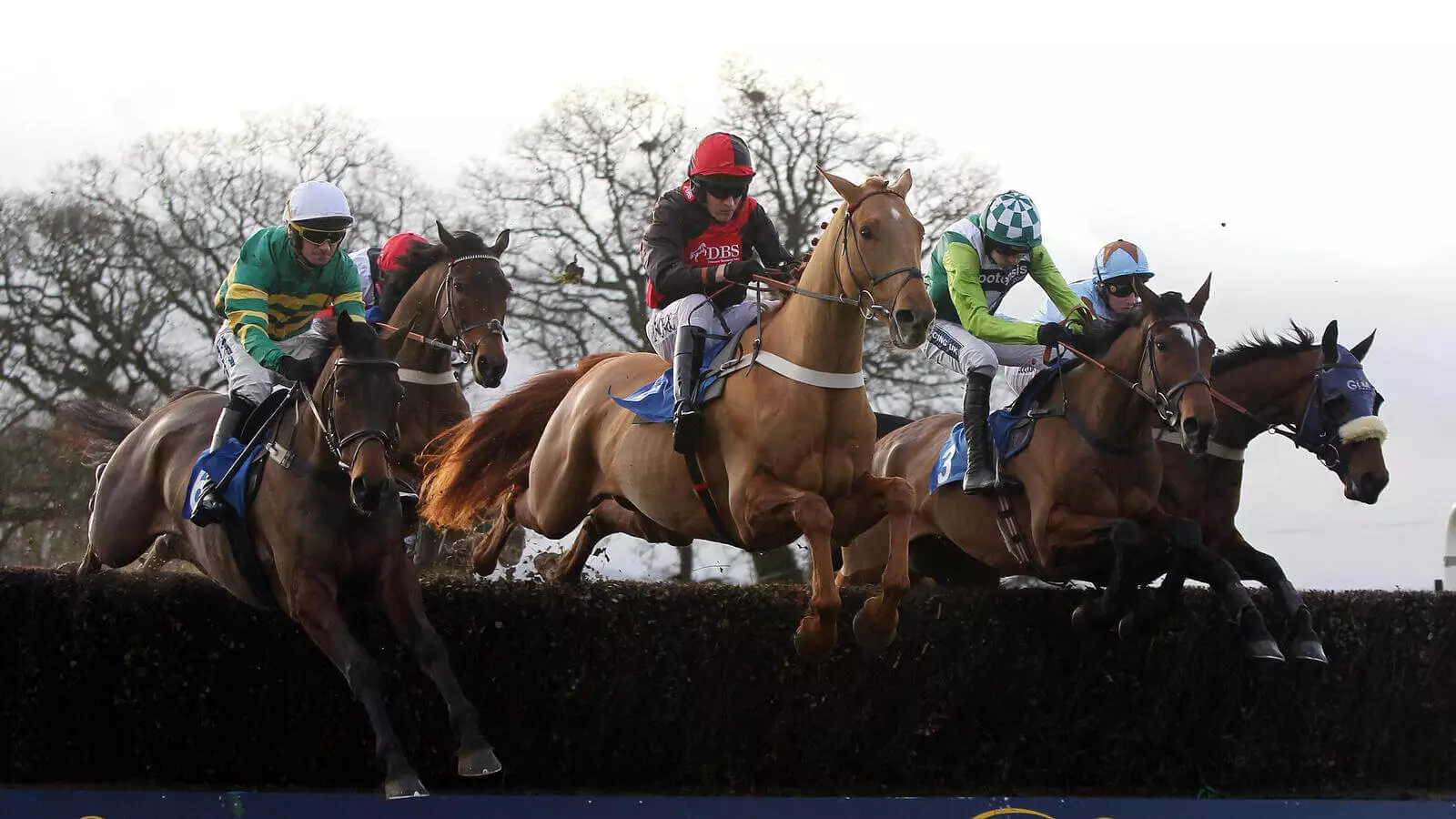 Thursday’s Horse Racing Tips Taunton, November 16th bettingexpert
