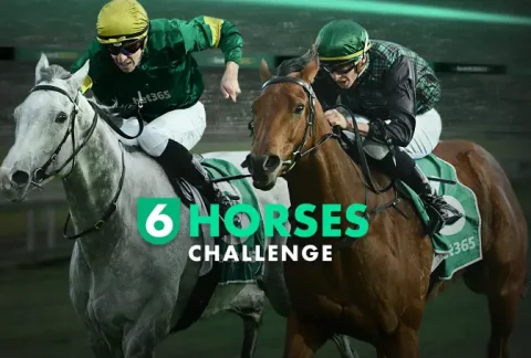 bet365 - 6 Horses Challenge
