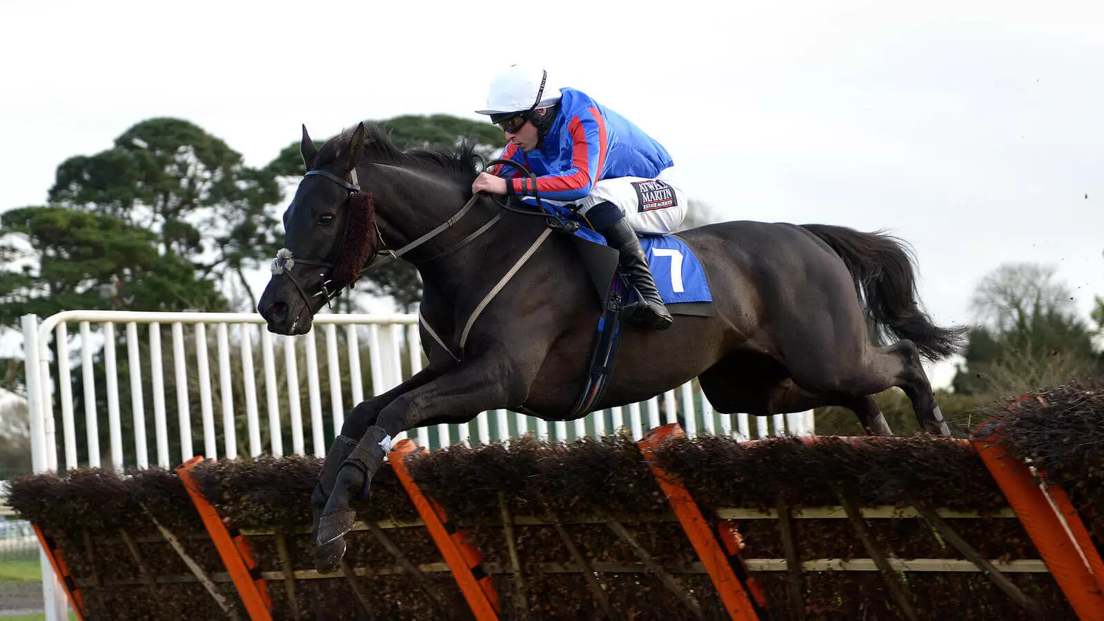 Wednesday’s Horse Racing Tips Fontwell, October 25th bettingexpert